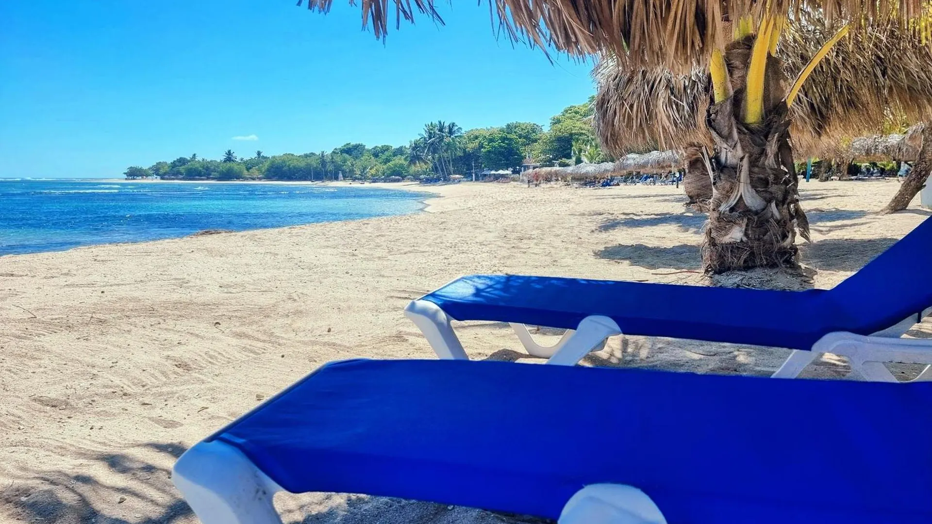 Διαμέρισμα Costambar Beachfront Stay With Pool Las Flores