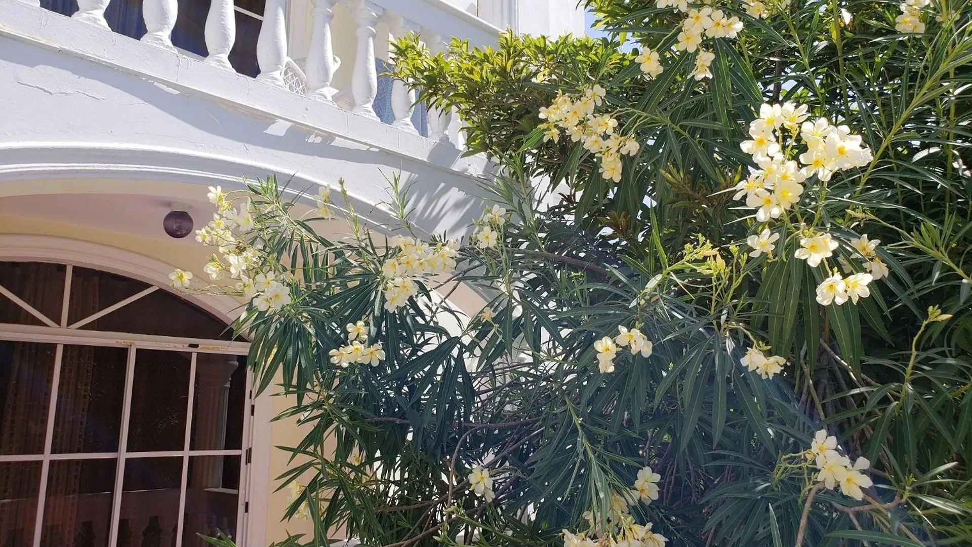 Costambar Beachfront Stay With Pool Las Flores Dominican Republic